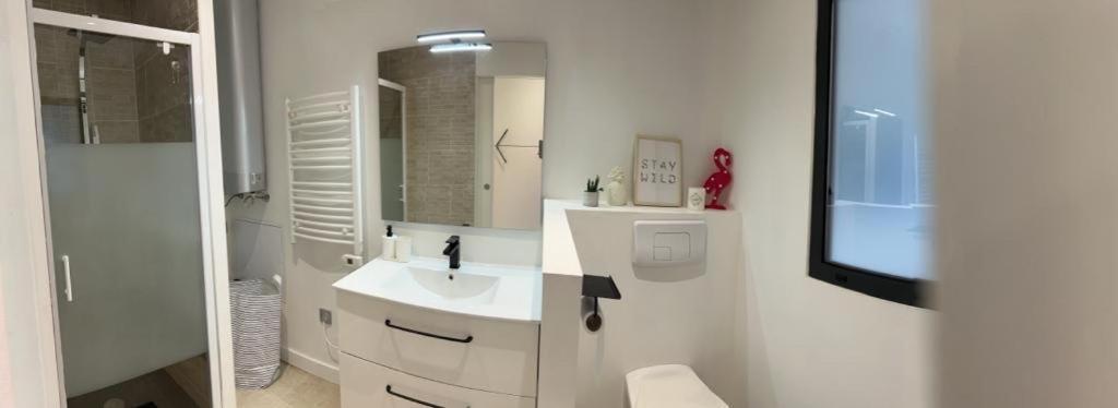 Ferdinand Apartment Bordeaux Bagian luar foto